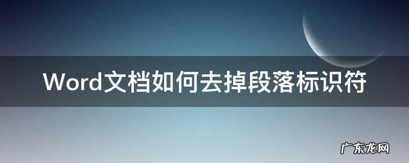word怎么弄段落标识符 Word文档如何去掉段落标识符
