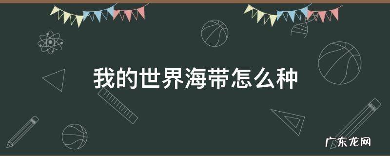 我的世界海带怎么种 我的世界海带可以做什么