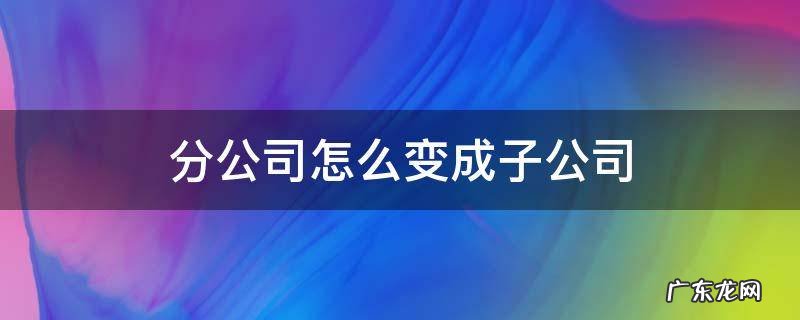 分公司怎么变成子公司 把子公司变成分公司