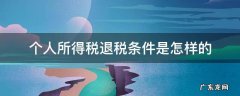 个人所得税退税条件是怎样的 什么条件退个人所得税