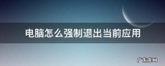 如何强制退出电脑应用 电脑怎么强制退出当前应用