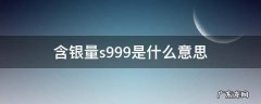 含银量S999 含银量s999是什么意思