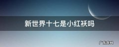 新世界小七是小红袄吗 新世界十七是小红袄吗