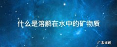 什么是溶解在水中的矿物质 什么是溶解在水中的矿物质它是植物生长必需的营养元素