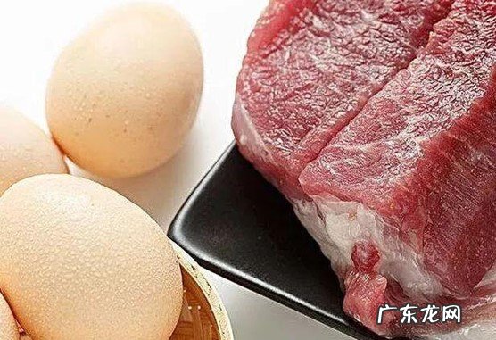 巧克力 柴犬最害怕的食物是什么