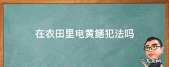 在农田里电黄鳝犯法吗 在农田电黄鳝是什么刑