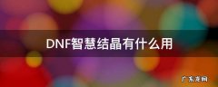 DNF智慧结晶有什么用 dnf智慧结晶能干什么