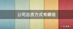 公司出资方式有哪些 公司设立出资方式是什么