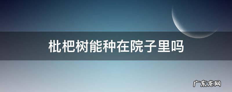 枇杷树能种在院子里吗 枇杷树种在院子里好吗