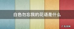 白色勿忘我的花语是什么 白色勿忘我的花语是什么,象征了什么?