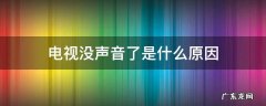 电视没有声音是怎么回事呢 电视没声音了是什么原因