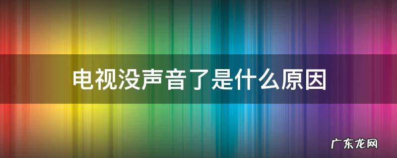 电视没有声音是怎么回事呢 电视没声音了是什么原因