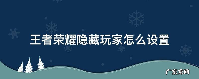 王者荣耀隐藏玩家怎么设置 王者怎么设置隐藏用户