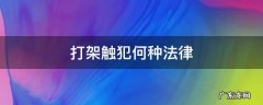 打架触犯何种法律 打架触犯什么法律