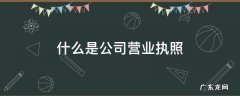 什么是公司营业执照 什么是公司营业执照注册号