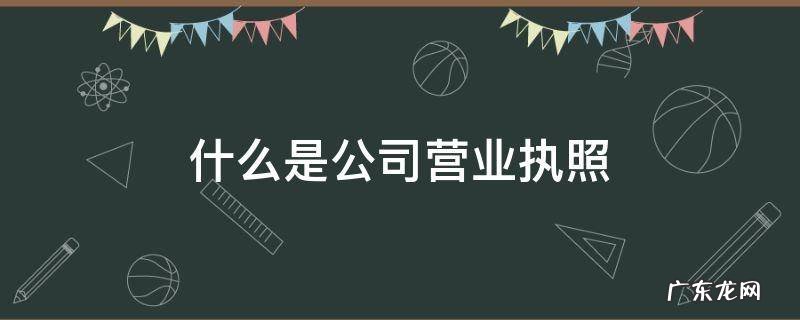 什么是公司营业执照 什么是公司营业执照注册号