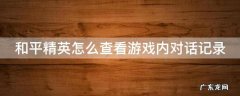和平精英怎么查看游戏内对话记录的 和平精英怎么查看游戏内对话记录