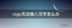 csgo输入不了汉字 csgo无法输入汉字怎么办