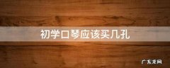 初学口琴应该买几孔 口琴自学买几孔