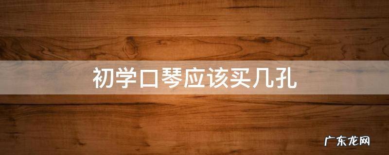 初学口琴应该买几孔 口琴自学买几孔