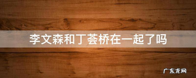 丁荟桥和李文森 李文森和丁荟桥在一起了吗
