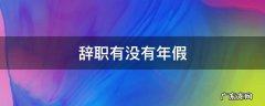 辞职有没有年假 如果辞职年假还没休