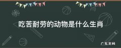 欲钱买吃苦耐劳的动物是什么生肖 吃苦耐劳的动物是什么生肖