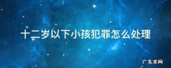 十二岁以下小孩犯罪怎么处理 十二岁孩子犯罪怎么处理