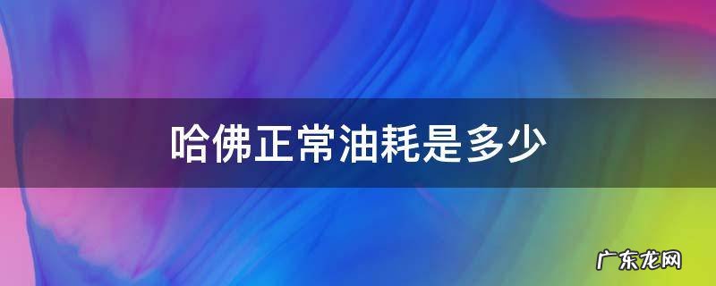 哈佛正常油耗是多少 哈佛实际油耗