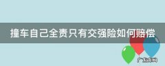 撞车自己全责只有交强险如何赔偿 车祸全责只有交强险怎么办