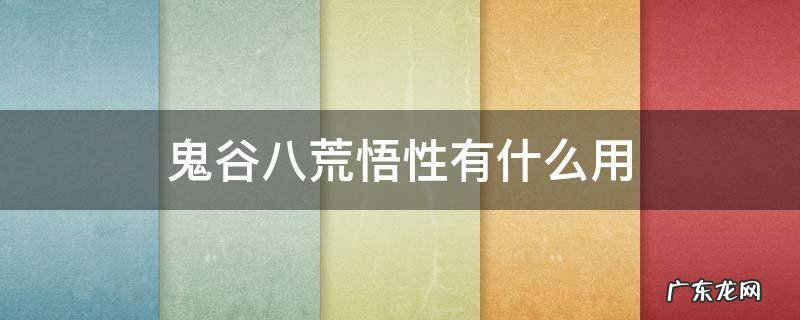 鬼谷八荒悟性有什么用 鬼谷八荒悟性有啥用