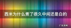 西米为什么煮了好久还是白色的 西米为什么煮了很久中间还是白的