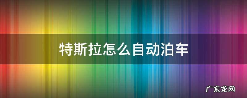 特斯拉怎么自动泊车 特斯拉 如何自动泊车