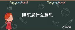 哄冻尼是什么意思 哄东尼什么意思