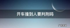 开车撞到人要判刑吗 开车撞了人要判刑吗