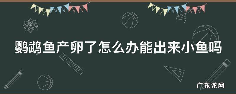 下章鱼 鹦鹉鱼产卵了怎么办能出来小鱼吗