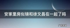 安家里房似锦和徐文昌在一起了吗 安家中房似锦和徐文昌第几集在一起的