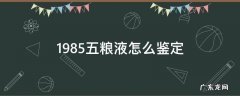 1985五粮液怎么鉴定 五粮液1981年鉴定