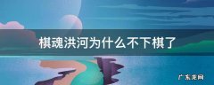棋魂洪河真的太聪明了 棋魂洪河为什么不下棋了