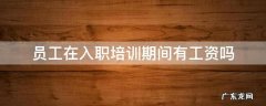 新入职员工培训期间有工资吗 员工在入职培训期间有工资吗
