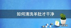 怎么清洗羊肚子最干净 如何清洗羊肚才干净