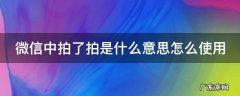 微信中拍了拍怎么撤回 微信中拍了拍是什么意思怎么使用