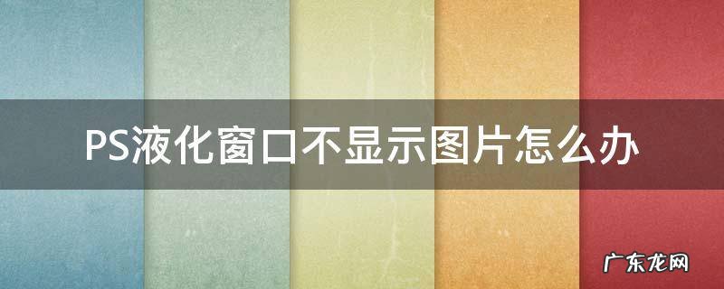 PS液化窗口不显示图片怎么办 ps液化显示不出来图片