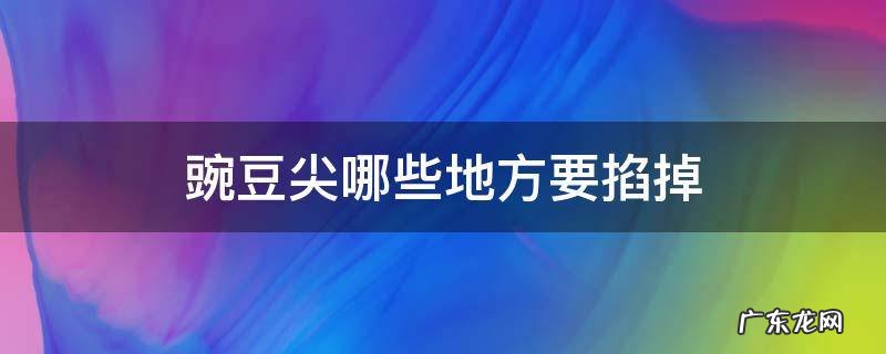 豌豆尖哪些地方要掐掉 豌豆尖掐掉后会长豌豆吗