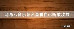 网易云音乐怎么查看自己听歌次数记录 网易云音乐怎么查看自己听歌次数