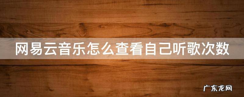 网易云音乐怎么查看自己听歌次数记录 网易云音乐怎么查看自己听歌次数