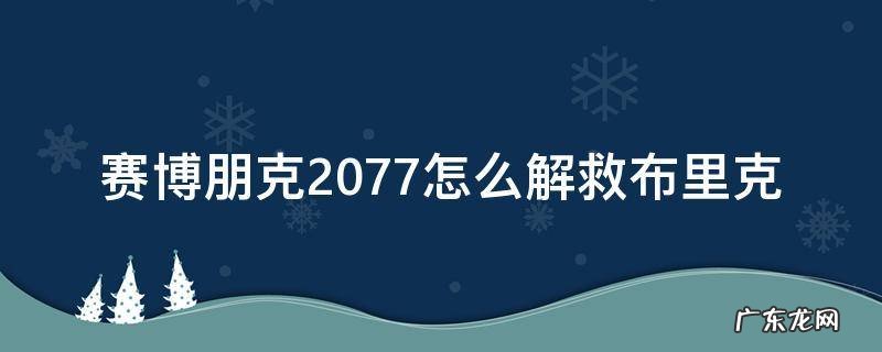 赛博朋克2077布里克怎么救 赛博朋克2077怎么解救布里克