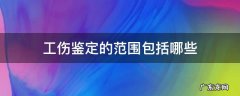 工伤鉴定的范围包括哪些 工伤伤残鉴定包括哪些