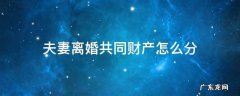 夫妻离婚共同财产怎么分配 房子 夫妻离婚共同财产怎么分