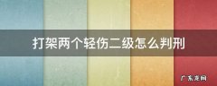 打架两个轻伤二级怎么判刑 打架轻伤2级法院怎么判